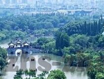 163足球比分网-163足球比分网，足球迷的实时资讯与数据宝藏库