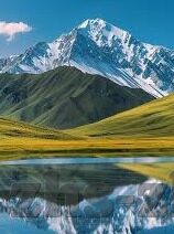 澳门万豪赌场筹码图片-澳门万豪赌场筹码图片，历史、艺术与文化价值