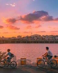 美职足球今天比分-美职足球激战正酣，今日比分速递与深度解析